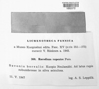 Image Associated With the Occurence